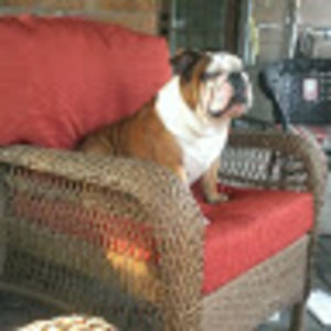 Meet your Posher, Morgan